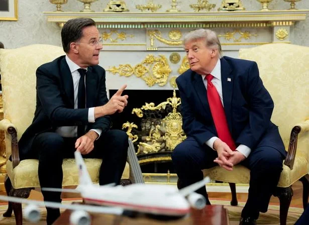 Ярмарка тщеславия в Турции. Трамп везёт с собой на саммит специально обученных людей для вывоза дерьма